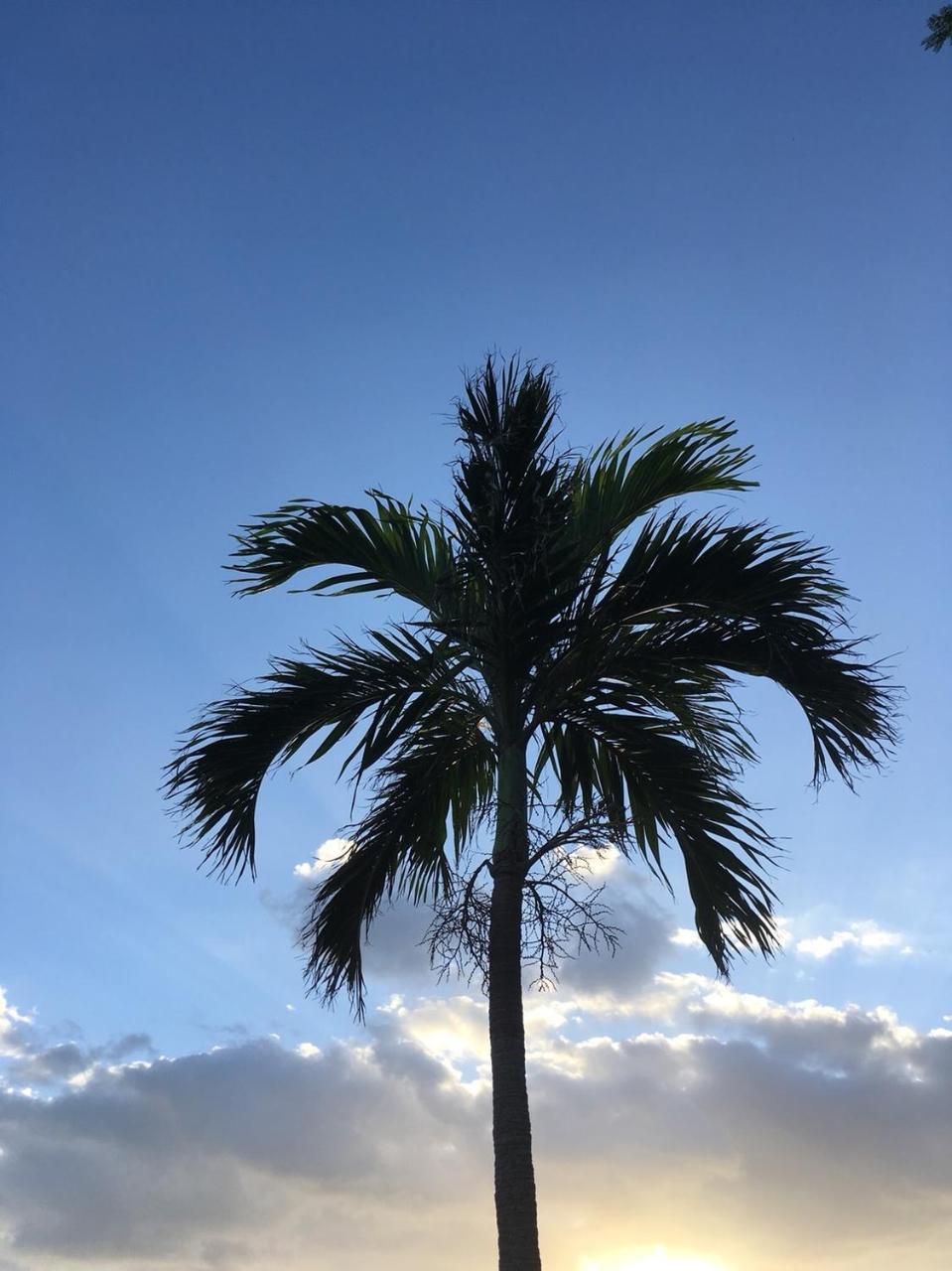 Y' Rise To Hotel Miyakojima Dış mekan fotoğraf
